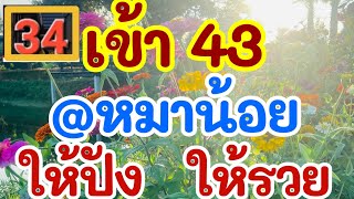 เข้า 43 แอดหมาน้อย ให้ปัง ให้รวย 16 ธ.ค. 67 [EP.1]