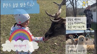 [국제가족]폴란드쌍둥이네 동물농장 방문기 Ep.1 ALPAKI DRELÓW (Feat : 알파카/사슴/산양) 특별출연 : 농장주사장님과 딸 율카~^^