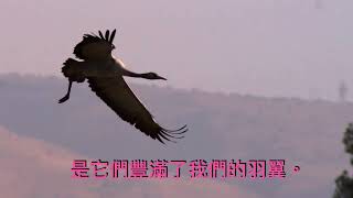 長風送雁圓舞曲. The long winds send wild geese traveling waltz.