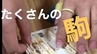 象牙のコマ選び　【長唄三味線の大事】