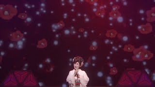 【小林幸子】50周年記念 小林幸子 in 日本武道館 ～夢の世界～「雪椿」