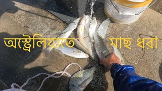 অস্ট্রেলিয়াতে জাল দিয়ে মাছধরা | ऑस्ट्रेलिया मैं मछली पकड़ना | Fishing in Australia