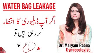 Water Bag Leakage - When to Visit Hospital? - Dr Maryam Raana Gynaecologist