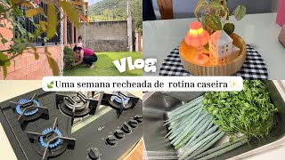 VLOG DA SEMANA 🏡UM LIVRAMENTO ❤️faxina na cozinha, Shein Home e horta