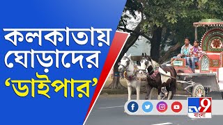 ঘোড়ারাও 'মানুষ' হচ্ছে, আপনি সচেতন হবেন কবে? | Kolkata Horse | Stool Bag For Horse