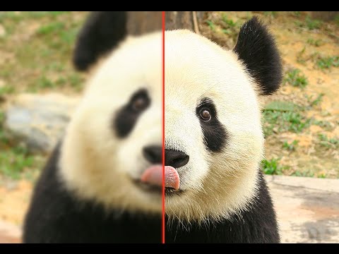 How To Fix and Sharpen Blurry Photos In Photoshop Tutorial How To Fix and Sharpen Blurry Photos In Photoshop Tutorial