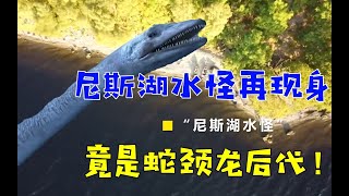 1500多年的尼斯湖水怪再次现身！究竟是千年水怪，还是蛇颈龙后代？