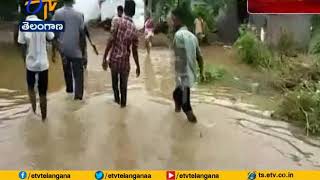 Heavy Rains Damage Crops at Jagtial