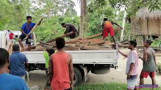 MAKANA SDA CHURCH BOYS COLLECTING FIREWOOD AT WABI FOR 2023 CHURCH CLOSING BUNG, NOV 28, 2023