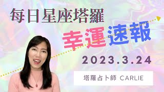 2023.3.24 每日星座塔羅幸運速報｜塔羅占卜師CARLIE｜香港人今日星座運程｜白羊座金牛座雙子座巨蟹座獅子座處女座天秤座天蠍座人馬座山羊座水瓶座雙魚座