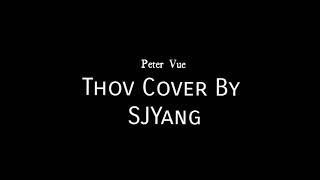 Vue Peter Thov Cover By SJYang