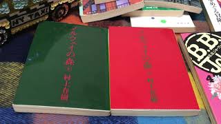 一般的なOLやうやうが村上春樹著:ノルウェイの森を5分にまとめてみた