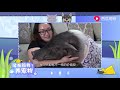 现实版好白菜让猪拱了，和猪同居举止亲密，网友：无法理解