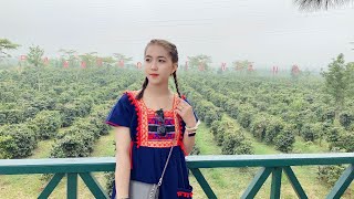 สวนกาเฟปากช่องแดนหนาวประเทศลาว🇱🇦อากาศเย็น=ປາກຊ່ອງແດນຫນາວ#แคทดี้ #สาวลาว