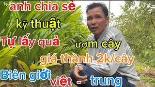 anh chia sẻ mua quả về ươm giá thành rẻ