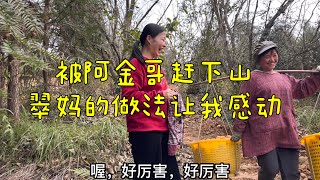 小翠上山被阿金哥赶下来，回家翠妈又做鸡汤犒劳，还叫我吃鸡腿，母爱让我好感动