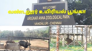 வண்டலூர் உயிரியல் பூங்கா Vandalur Zoological Park