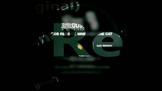 Rob Reng ft NineLives the Cat - Funk Down Low