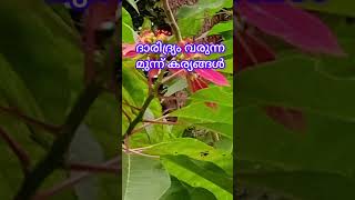 ഈ മുന്ന് കര്യങ്ങൾ ഒരിക്കലും ചെയ്യരുത്#islamicvideo #islamicstatus