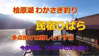 2022年11月26日　桧原湖　わかさぎ釣り　民宿ひばら屋形船　多点掛けで数を伸ばせるか