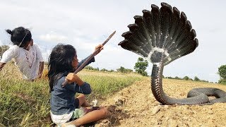 Amazing Fish Trap - A Girl Makes A Very Simple Fish Trap With Deep Hole - Easy Fish Trap