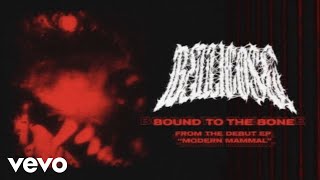 BELLICOSE NY - BOUND TO THE BONE