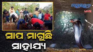 ନିଜ ଜୀବନ ବଞ୍ଚାଇବାକୁ କୂଅରେ ଛଟପଟ ଅଜଗର, ମାଗୁଛି ସାହାଯ୍ୟ