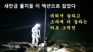 새만금 풀치(갈치) 잡는 액션