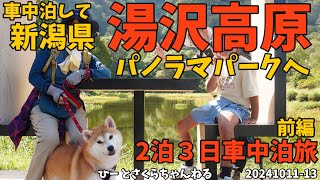 【新潟車中泊・前編】湯沢高原パノラマパークでサマーボブスレー　20241011-13