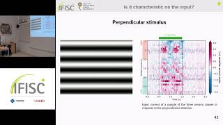 Unveiling predictive coding mechanisms through computational modeling
