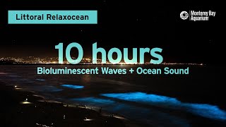 10 Hours Of Bioluminescent Waves + Ocean Sounds From Monterey Bay To Chill/Relax/Study/Work To