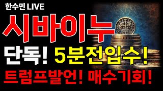 [시바이누 코인전망] 단독! 5분전입수! 트럼프발언! 최저점 매수기회!