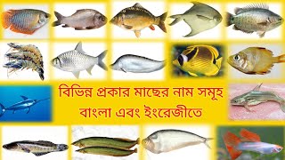 Names of different types of fish in Bengali and English ||বিভিন্ন মাছের নাম সমূহ বাংলা এবং ইংরেজিতে