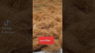 MESIN SERUT SABUT KELAPA #cocobristle #cocopeat #cocofiber #mesinsabutkelapa