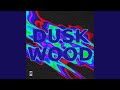 Duskwood