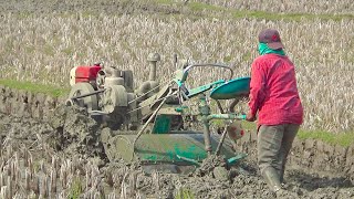 Classic power Tiller Working in Deep Mud | Exploring Bangladesh