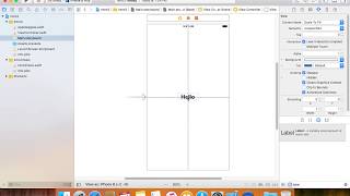 Working with Xcode Label