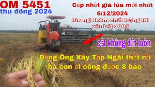 Cập nhật giá lúa mới nhất 6/12/2024|lúa ngã kém chất lượng lái xin bớt 100₫ công chưa được 9 bao.