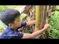 wandering boy bac caught a catfish weighing 11kg bac_wandering boy s fishing skills.