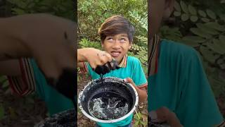 Survival Skills: Simple but Useful in jungle#bushcraft#camping#outdoors#useful#s