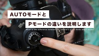 【カメラ初心者】AUTOとPモードの違いって何？【一眼レフ・ミラーレスカメラ】