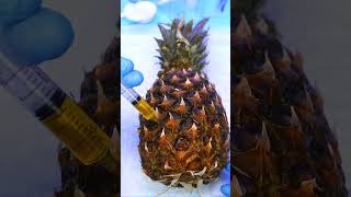 Pineapple can't poop #fruitsurgery #shorts