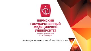 Время двигательного рефлекса правой и левой руки на звук (хронорефлексометрия)