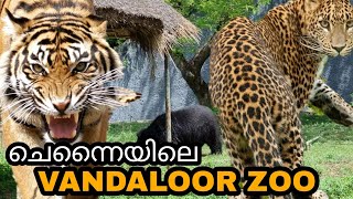 Indias largest zoo || Arignar Anna zoological Park || #chennai #zoo #zoologicalpark #wildanimals