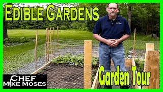 Chef Mike Moses Garden Tour #1 - Touring my edible garden