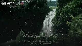 World Beautiful Voice || Quranic Ayat