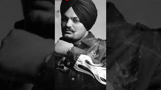 Sidhu Moose Wala Best Songs 💕💕All Punjabi Songs💕💕Punjabi Gaane
