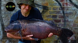Alfie Russell | Life and Carp Fishing | Urban Carping