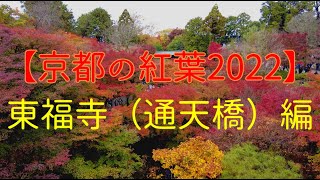 【京都の紅葉2022】東福寺（通天橋）編　Kyoto、Autumn leaves、Tofukuji Temple（Tsutenkyo Bridge）