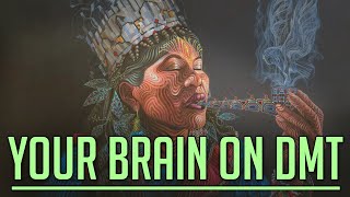 Your Brain On Drugs EP2: DMT (dimethyltryptamine)